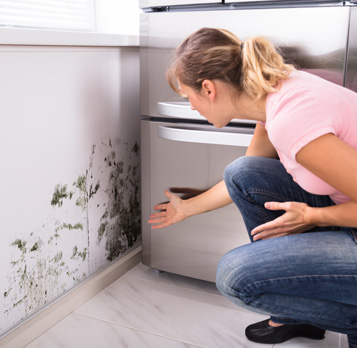 Women Looking at Mold damage